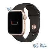 Apple Watch SE (1st Gen) battery replacement