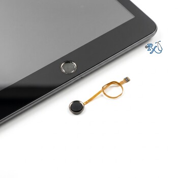 iPad 7th Gen Home Button Repair iPad 7th Gen Home Button Repair