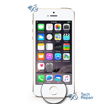 iPhone 5S Home Button Replacement